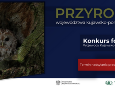 plakat konkursowy