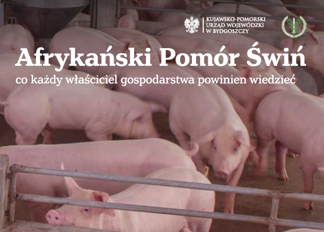 Afrykański Pomór Świń