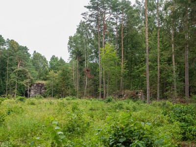Kwatera Heinricha Himmlera koło Pozezdrza