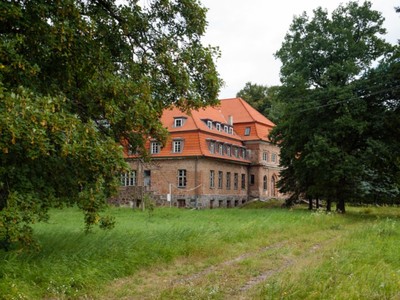 Pałac w Okowiźnie