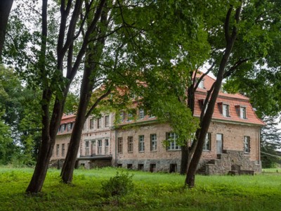 Pałac w Okowiźnie
