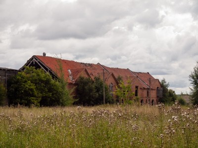Pałac w Okowiźnie