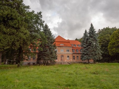 Pałac w Okowiźnie