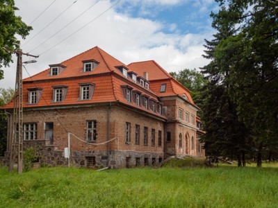 Pałac w Okowiźnie