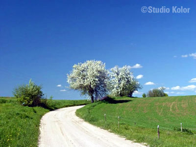 Powiat Węgorzewski Wiosną