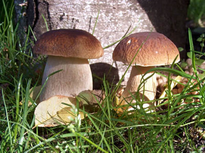 Powiat Węgorzewski Jesienią