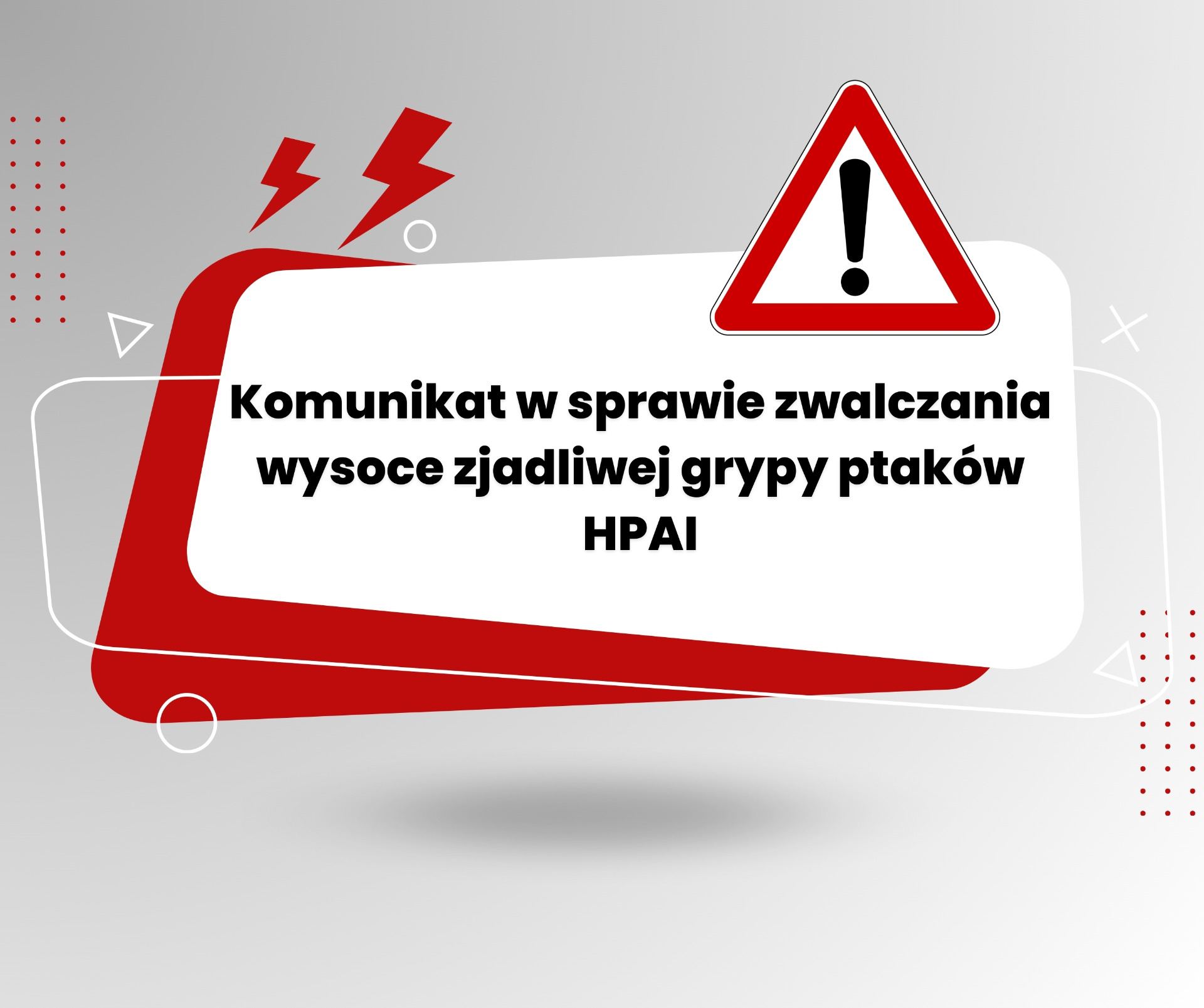 grafika