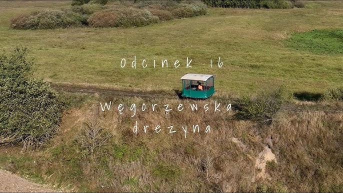tytuł