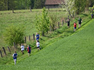 na zdjęciu zawodnicy podczas biegu, w tle łąki