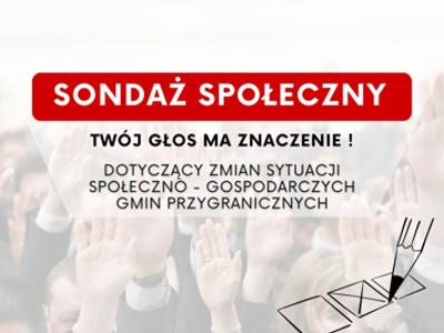sondaż społeczny grafika