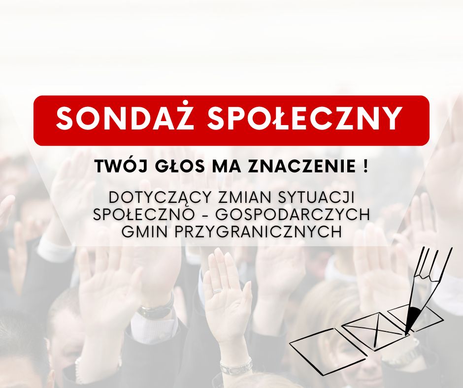 sondaż społeczny grafika