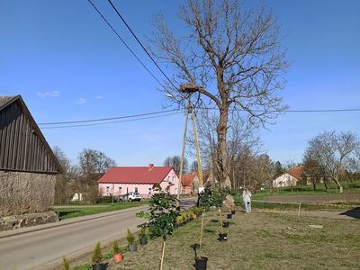 Kolorowa wieś Harsz