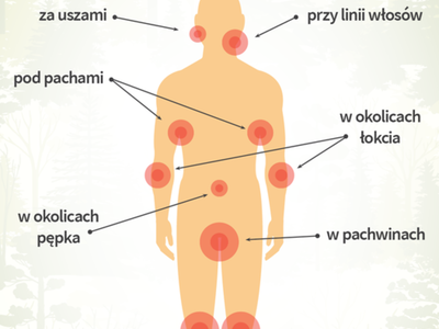 Ulubione miejsca żerowania kleszczy.