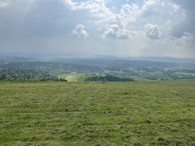 Reprezentacja 14