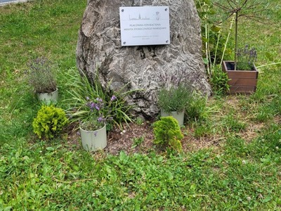 Ośrodek 2