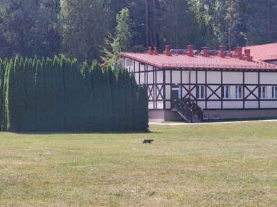 Ośrodek 9