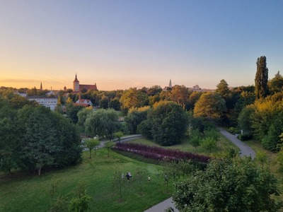 Park Centralny w Olsztynie