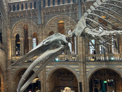 Muzeum  Historii Naturalnej