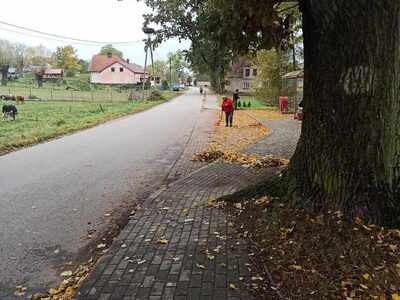 na zdjęciu uczestnicy projektu grabiący liście w tle budynek