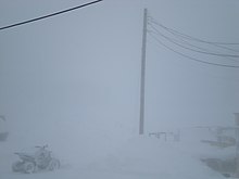 Śnieżyca