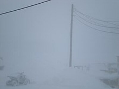 Śnieżyca