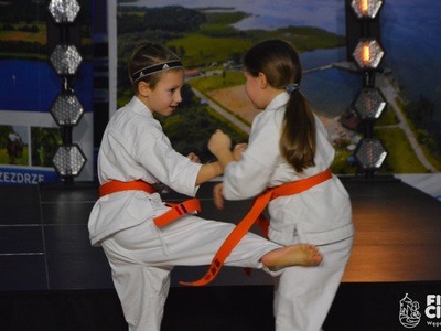 Na zdjęciu pokaz karate w wykonaniu Kyokushin Karate