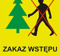 zdjęcie informacyjne