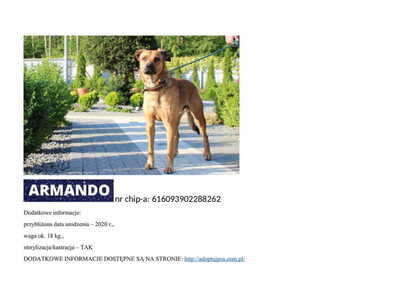 armando__p_112231.jpg[small]