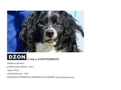 dzon__p_1000201.jpg[small]