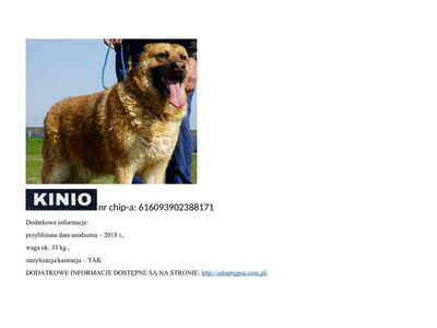 kinio__p_510181.jpg[small]