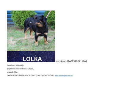 lolka__p96241.jpg[small]