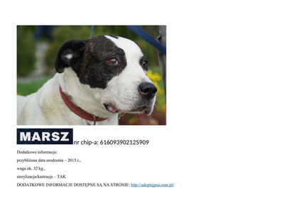 marsz__p_115221.jpg[small]