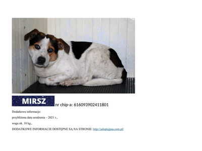 mirsz__p57241.jpg[small]
