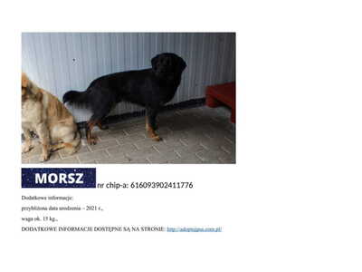 morsz__p58241.jpg[small]