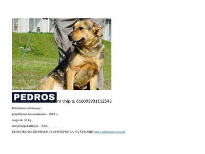pedros__p_15221.jpg[small]