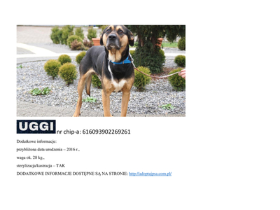 uggip14422.jpg[small]