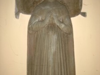zdj10