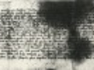 zdj6