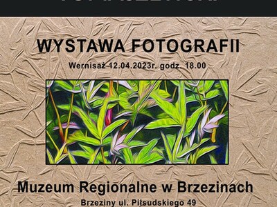 WYSTAWA FOTOGRAFII