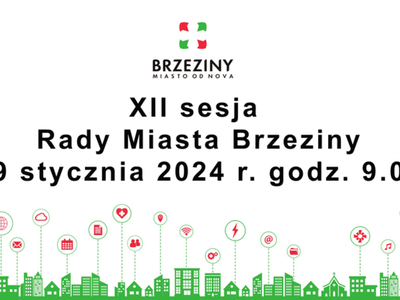 XII sesja