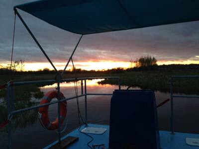 Rzeka Narew