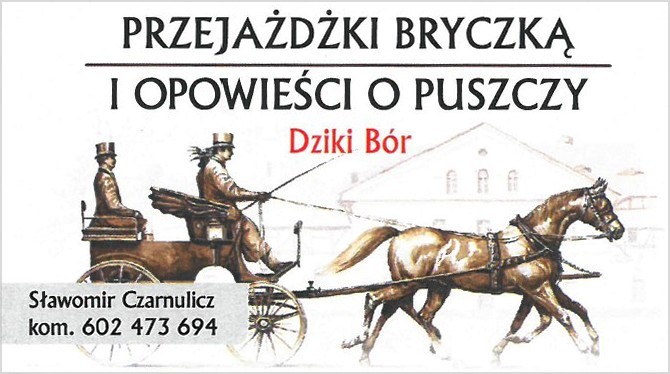 Wizytówka