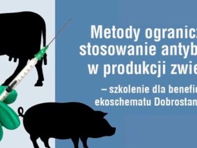 Baner