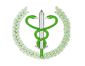 Logo IW