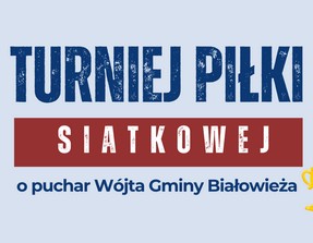Logo turniej piłki