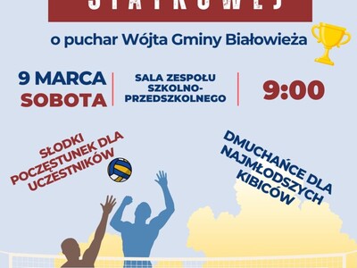 Plakat turniej piłki siatkowej