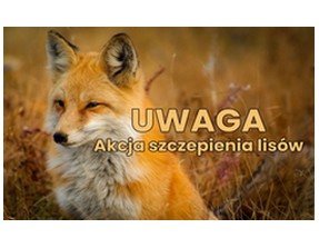 Baner