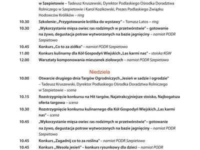 Program