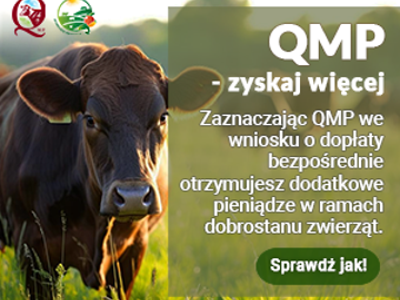 Ekoschemat „Dobrostan zwierząt” Dodatkowe pieniądze dla hodowców bydła z QMP – tylko do 16 czerwca!