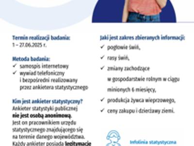 Badania ankietowe GUS - Badanie pogłowia świń oraz produkcji żywca wieprzowego (R-ZW-S)